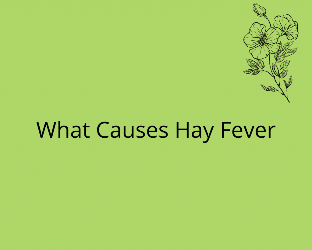 What Causes Hay Fever Cosmedic Training Academy